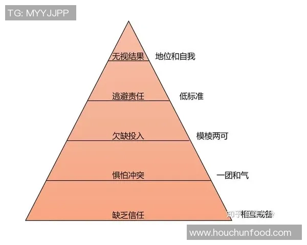 TES团队协作表现的数据分析与提升策略探讨